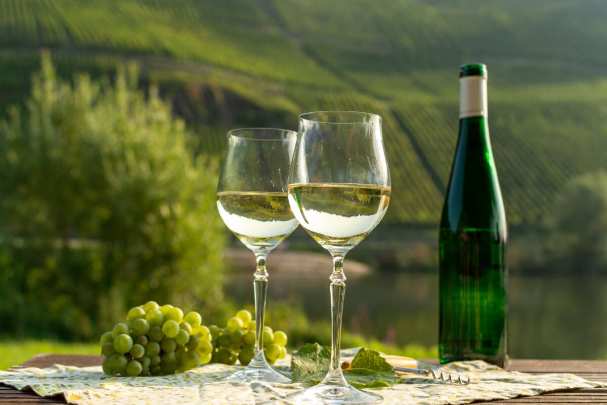 VIN ALSACE | Hôtel Restaurant Klein Quels sont les 7 cépages d’Alsace ? Wittelsheim 0